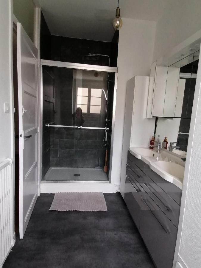 Appartement 85 m2 centre-ville entièrement rénové Le Creusot Extérieur photo