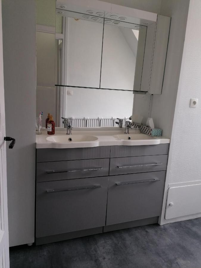 Appartement 85 m2 centre-ville entièrement rénové Le Creusot Extérieur photo